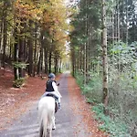 Am Ponyhof