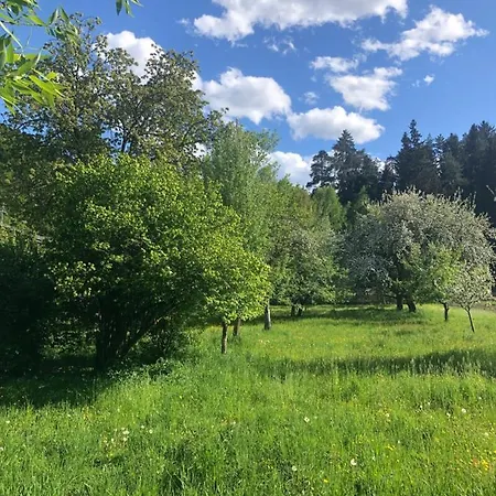 Am Ponyhof *