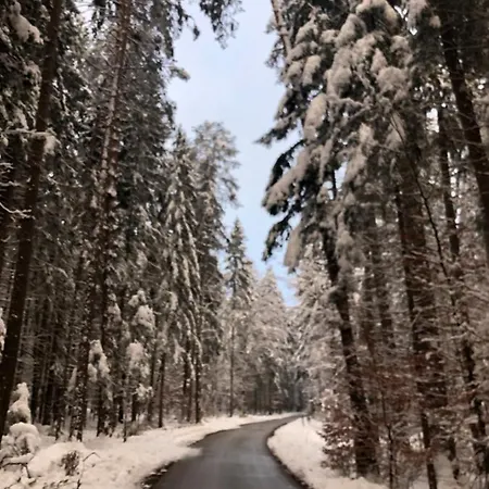 Am Ponyhof Sankt Kanzian am Klopeiner See