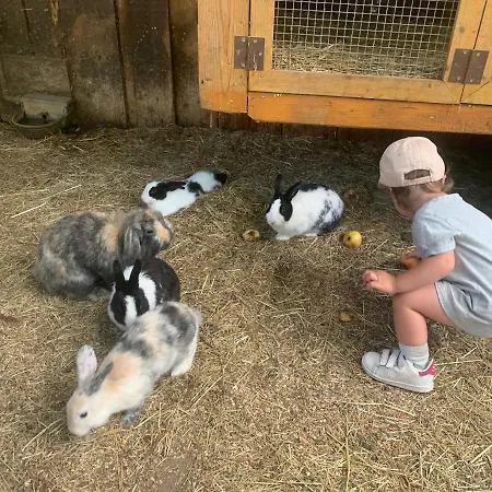 Apartmán Am Ponyhof