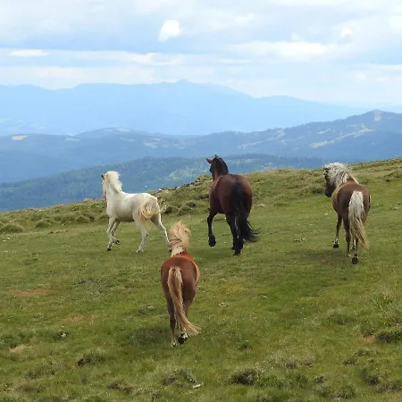 Apartmán Am Ponyhof Sankt Kanzian am Klopeiner See