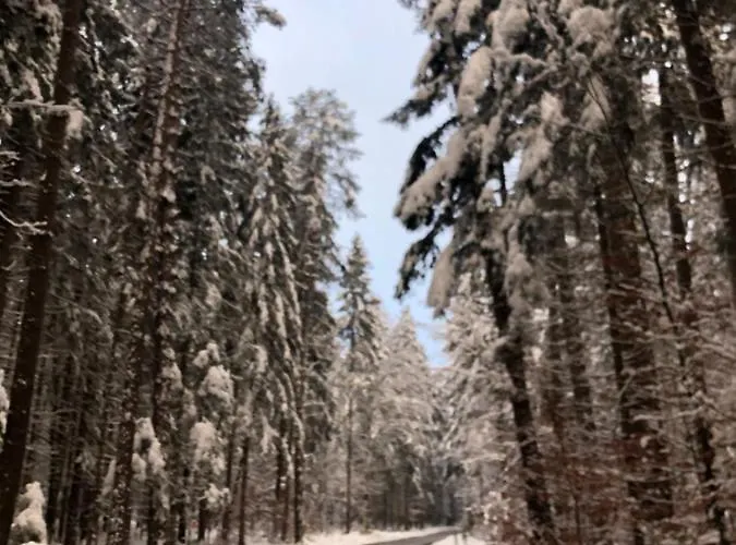 Am Ponyhof Sankt Kanzian am Klopeiner See