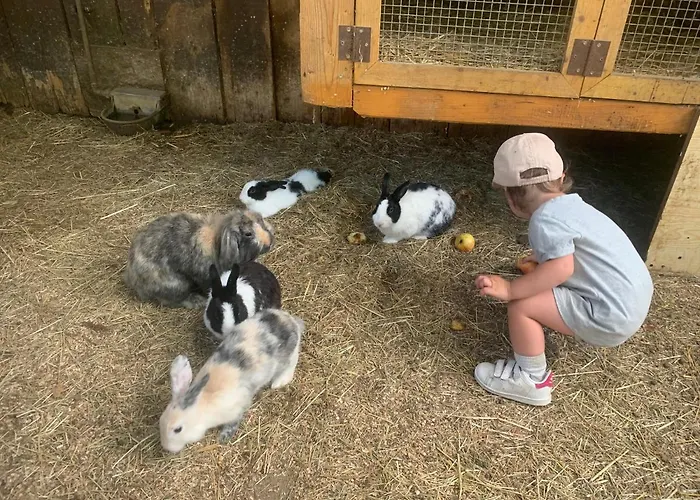 Apartmán Am Ponyhof