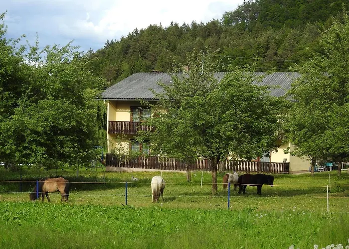 Am Ponyhof Sankt Kanzian am Klopeiner See