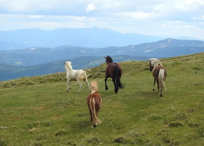 公寓 Am Ponyhof 圣卡荐